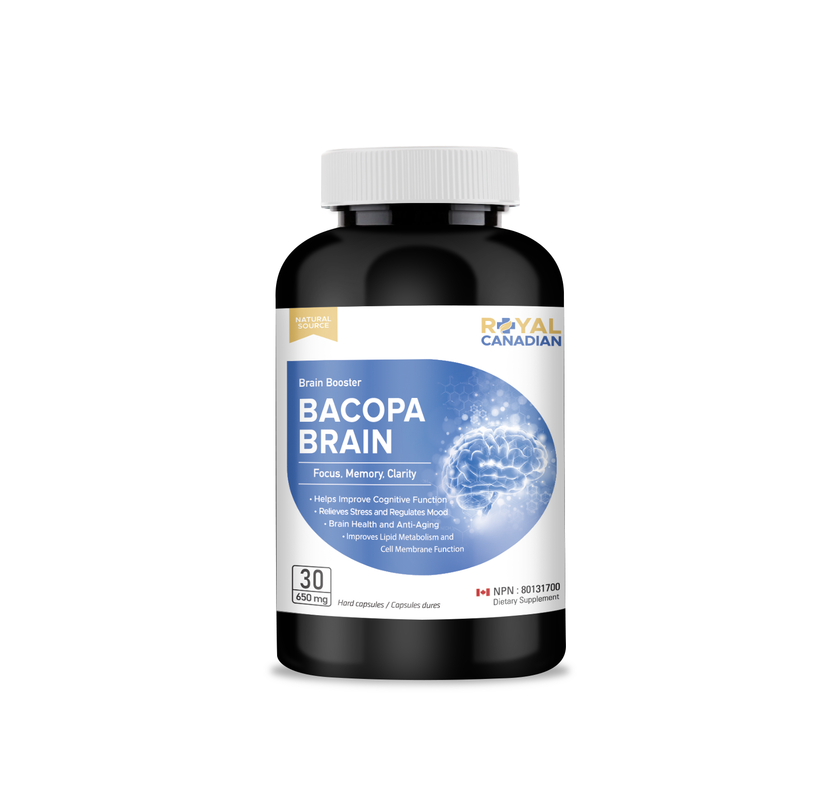 Bacopa Brain