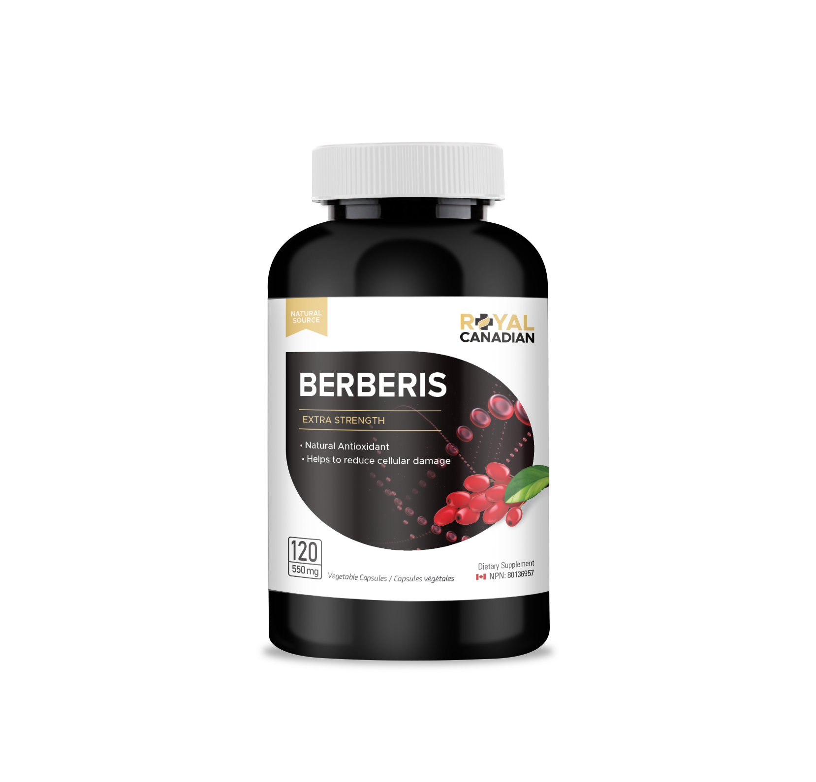 Berberis