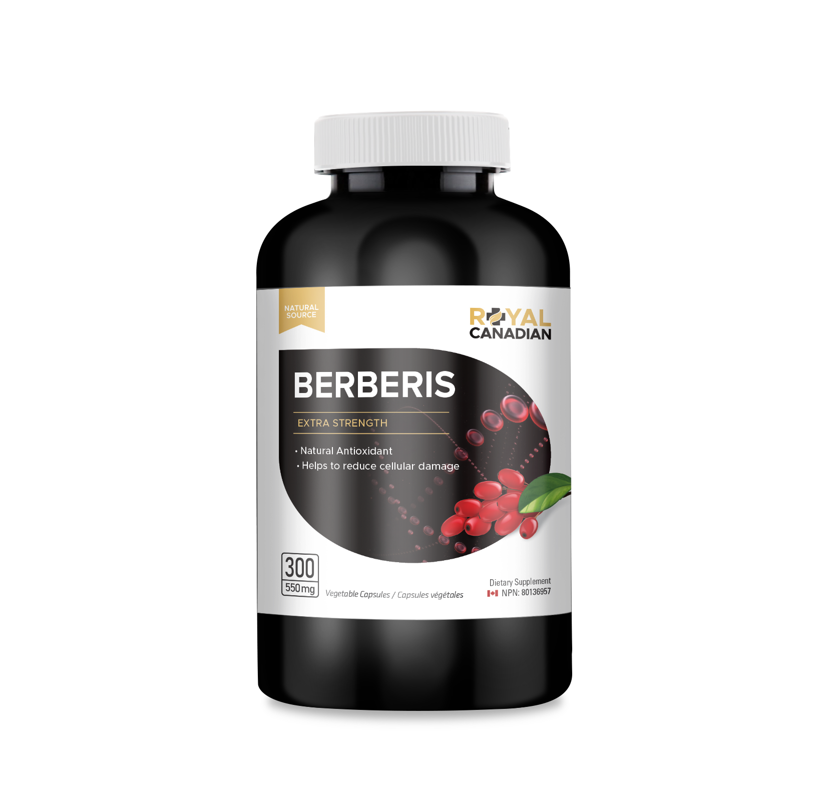 Berberis