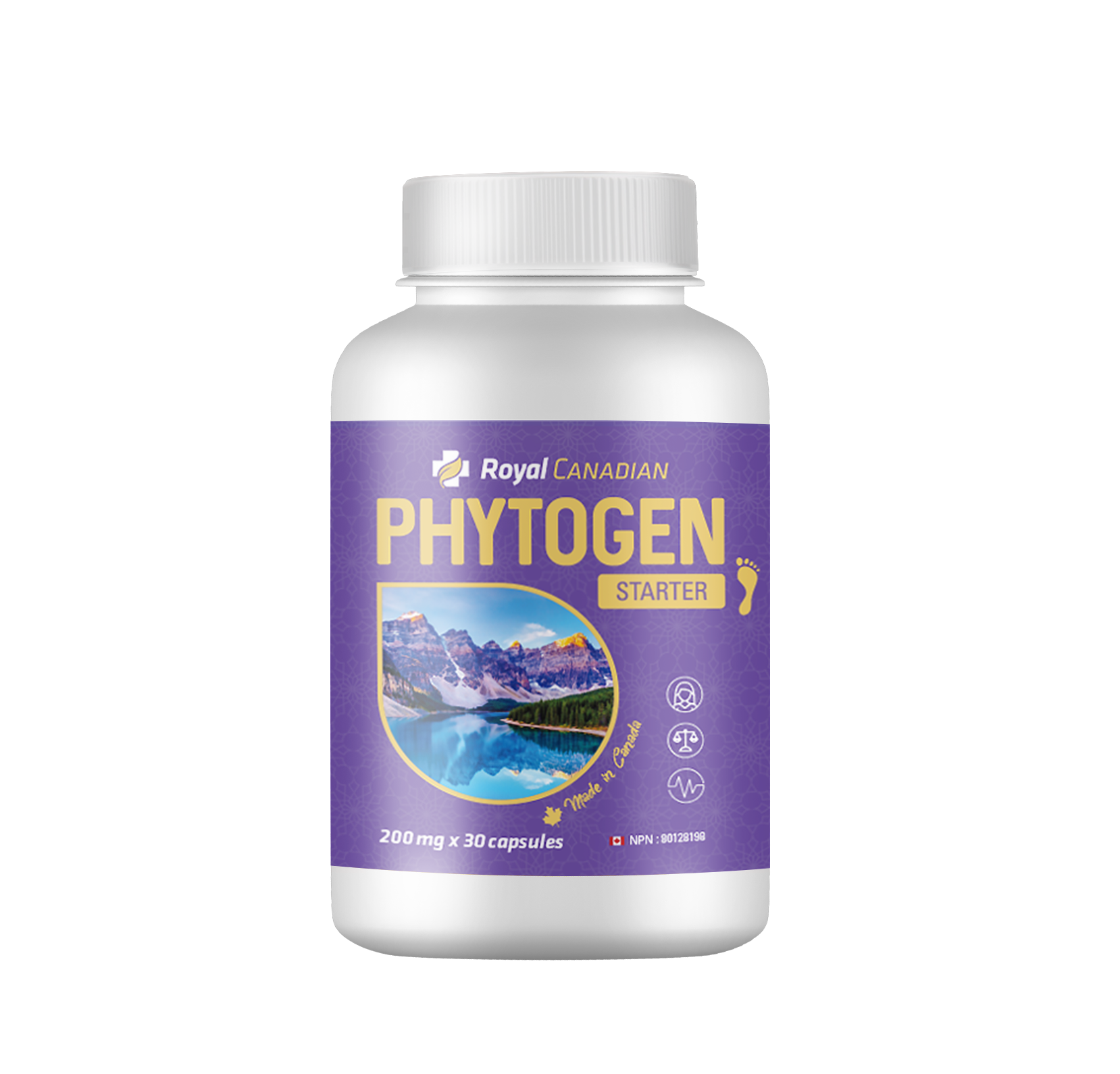 Phytogen Starter