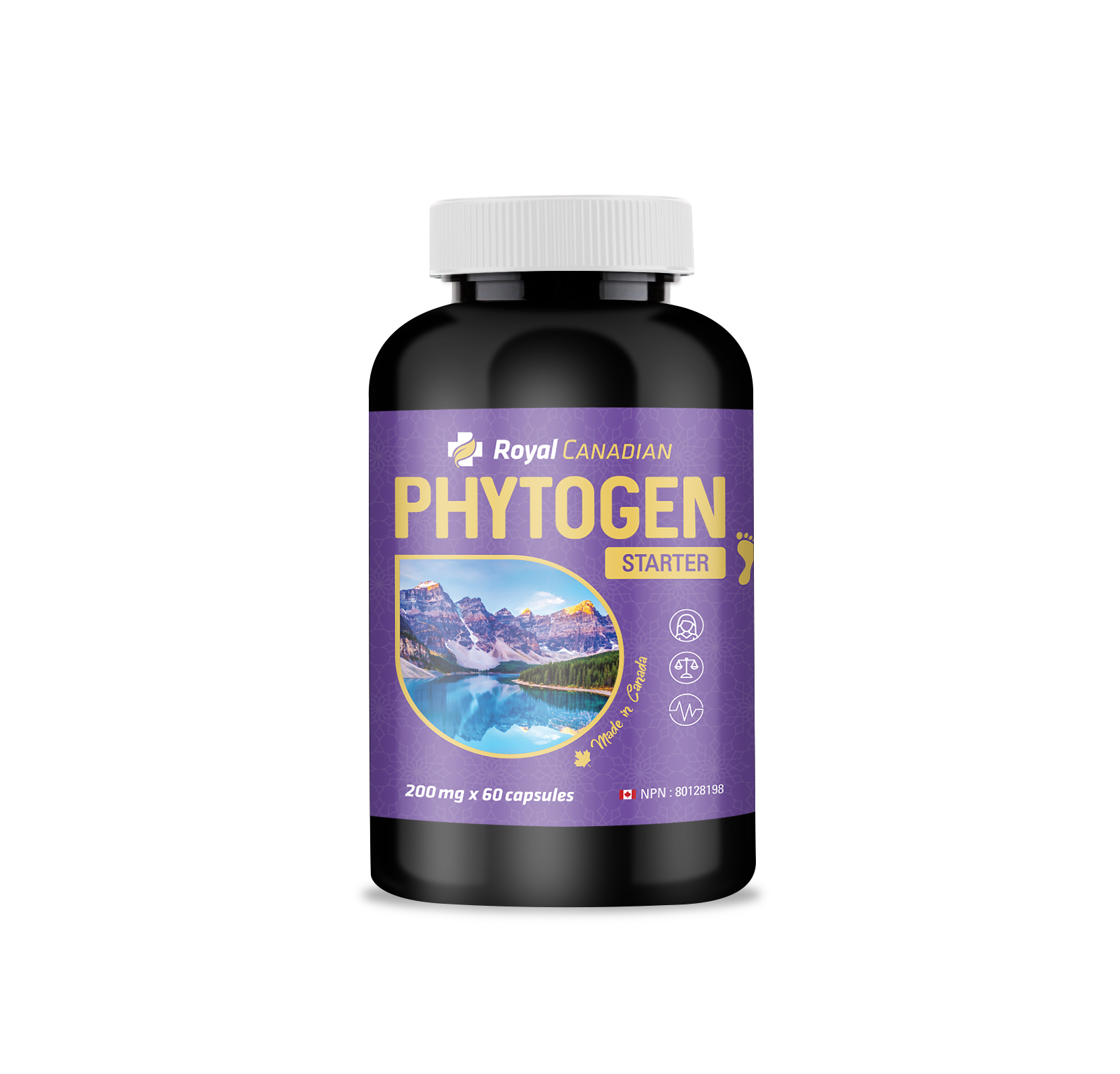 Phytogen Starter