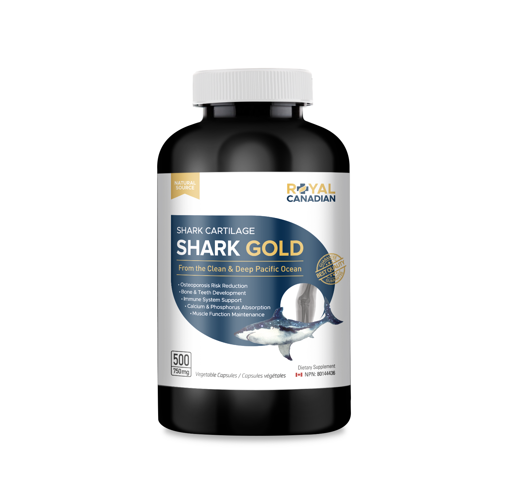 Shark Gold